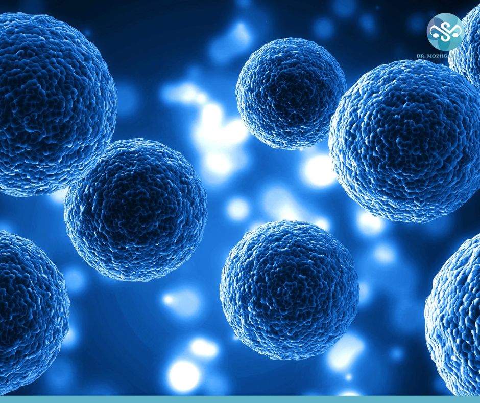 Stem Cells and Exosomes in Gynecology